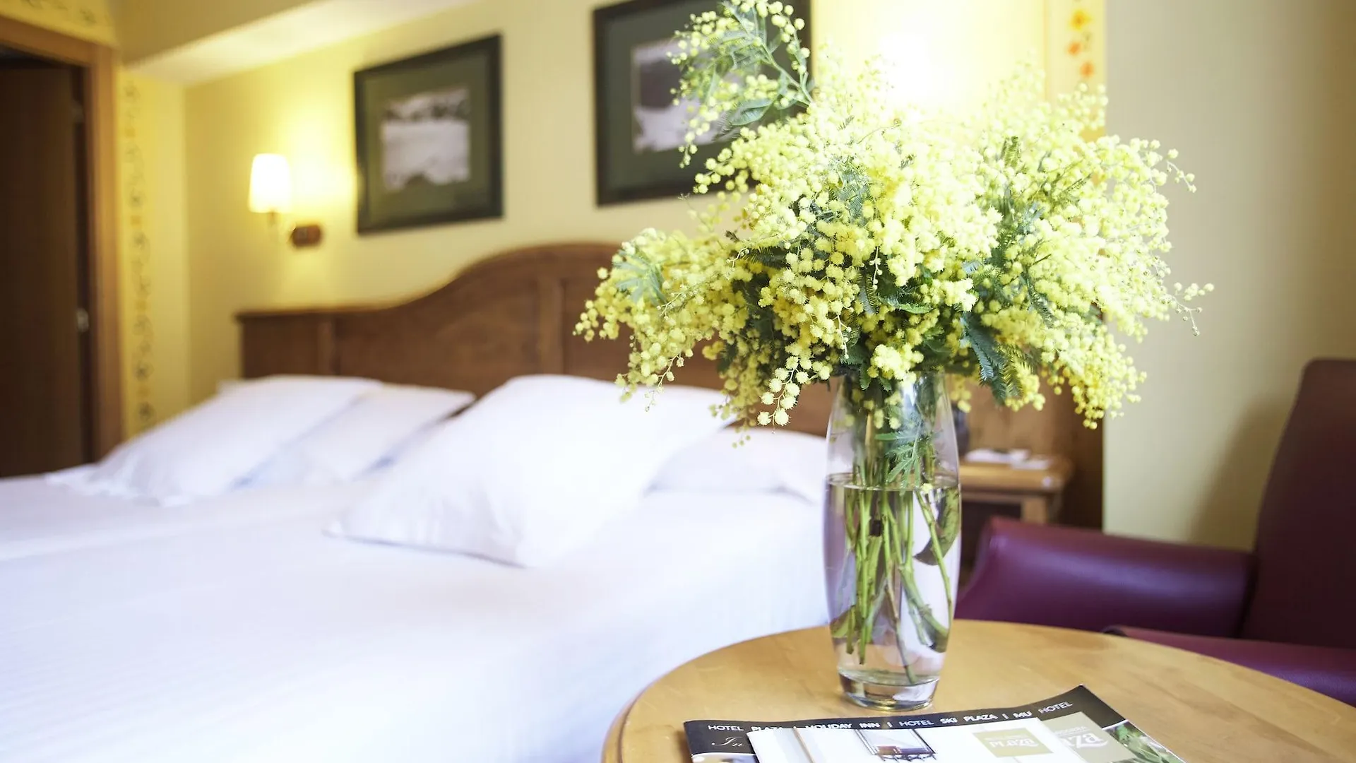 Ski Plaza Hotel & Wellness Canillo 4*,